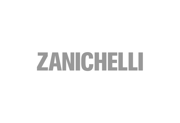 Logo Zanichelli