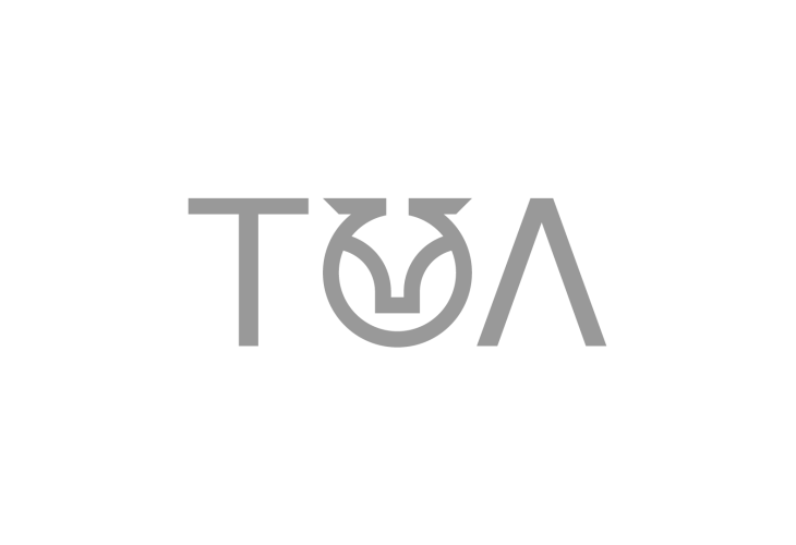 Logo TOAgency